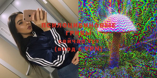 альфа пвп Заволжск