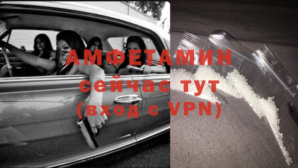 амф Заволжье