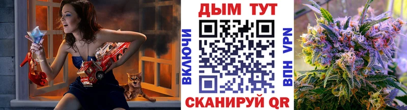 Шишки марихуана тримм  Купить закладки  Сланцы 